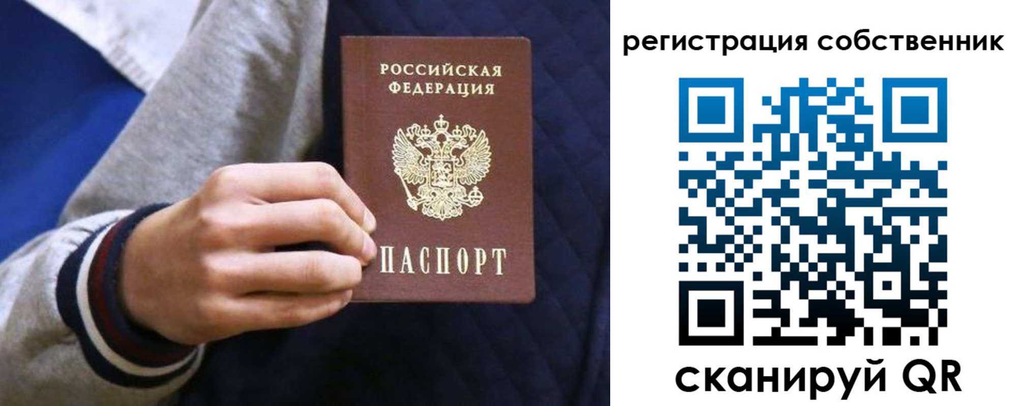 прописка поиск в Котово